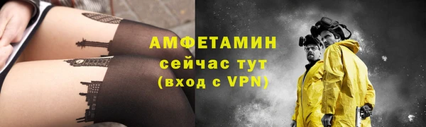 гидра Липки