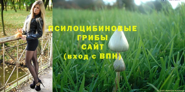 спиды Лихославль