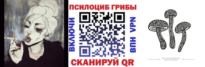 Купить Майский Псилоцибиновые грибы Magic Shrooms
